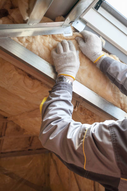 Best Insulation Maintenance and Repair in West Hammond, NM