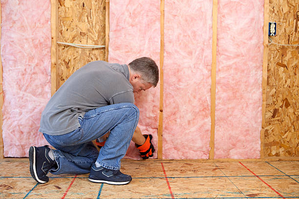 Best Residential Insulation in West Hammond, NM